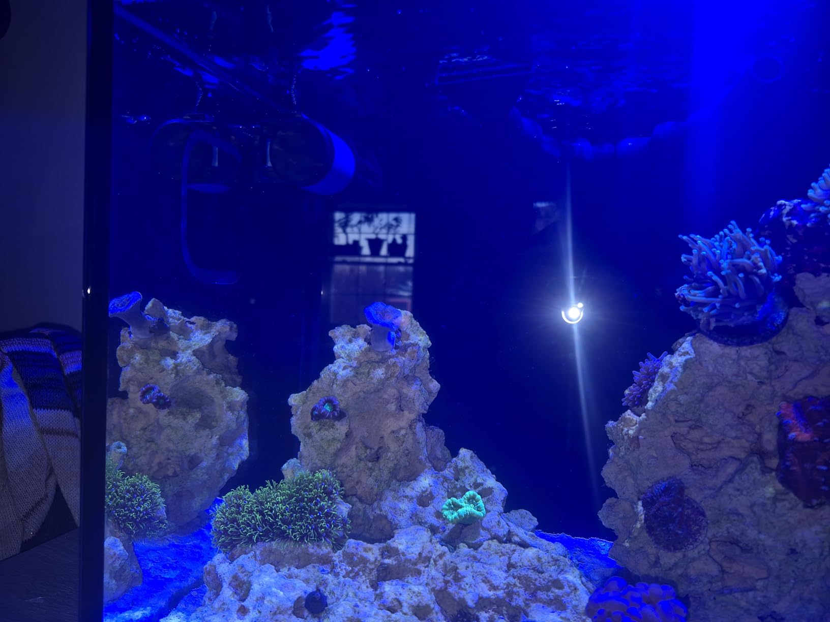 FZONE Aquarium Wave Maker, 24V DC Gyre Wavemaker with LCD Display Controller, Adjustable Cross Flow, Quiet Powerhead with Magnetic Mount for Saltwater & Freshwater Tanks (S) customer photo 2