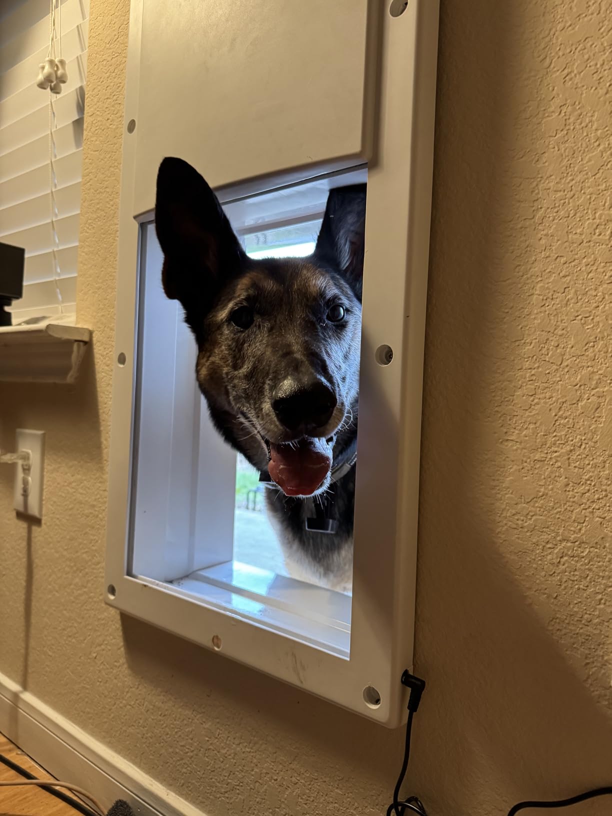 Genuine Power Pet WiFi Automatic Pet Door, Large, Wall Mount, Factory Refurbished, Certified, Full Warranty, Pet Operated, App Control, Unlimited 24/7 Exit & Entry Timers, Auto Dead-Bolt Security USA customer photo 2