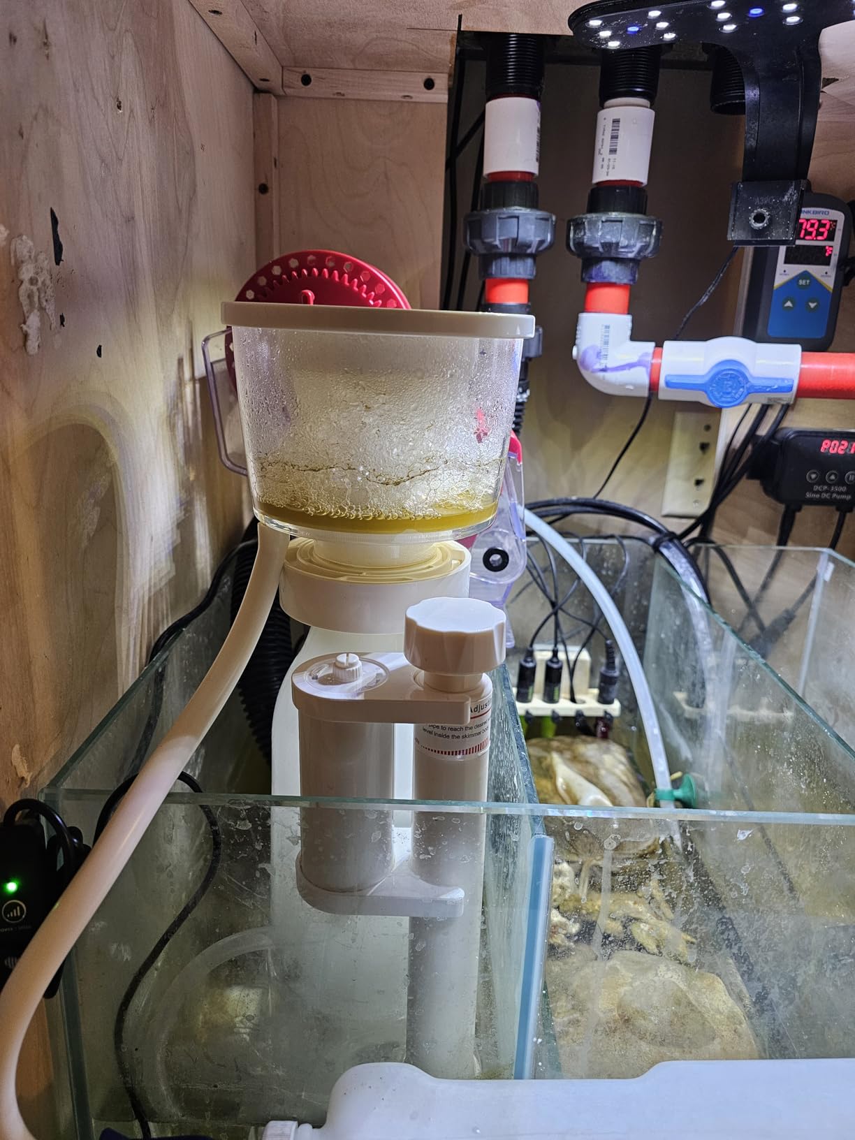 IOAOI in Sump Protein Skimmer for Saltwater Aquarium, Marine Reef Tanks customer photo 2