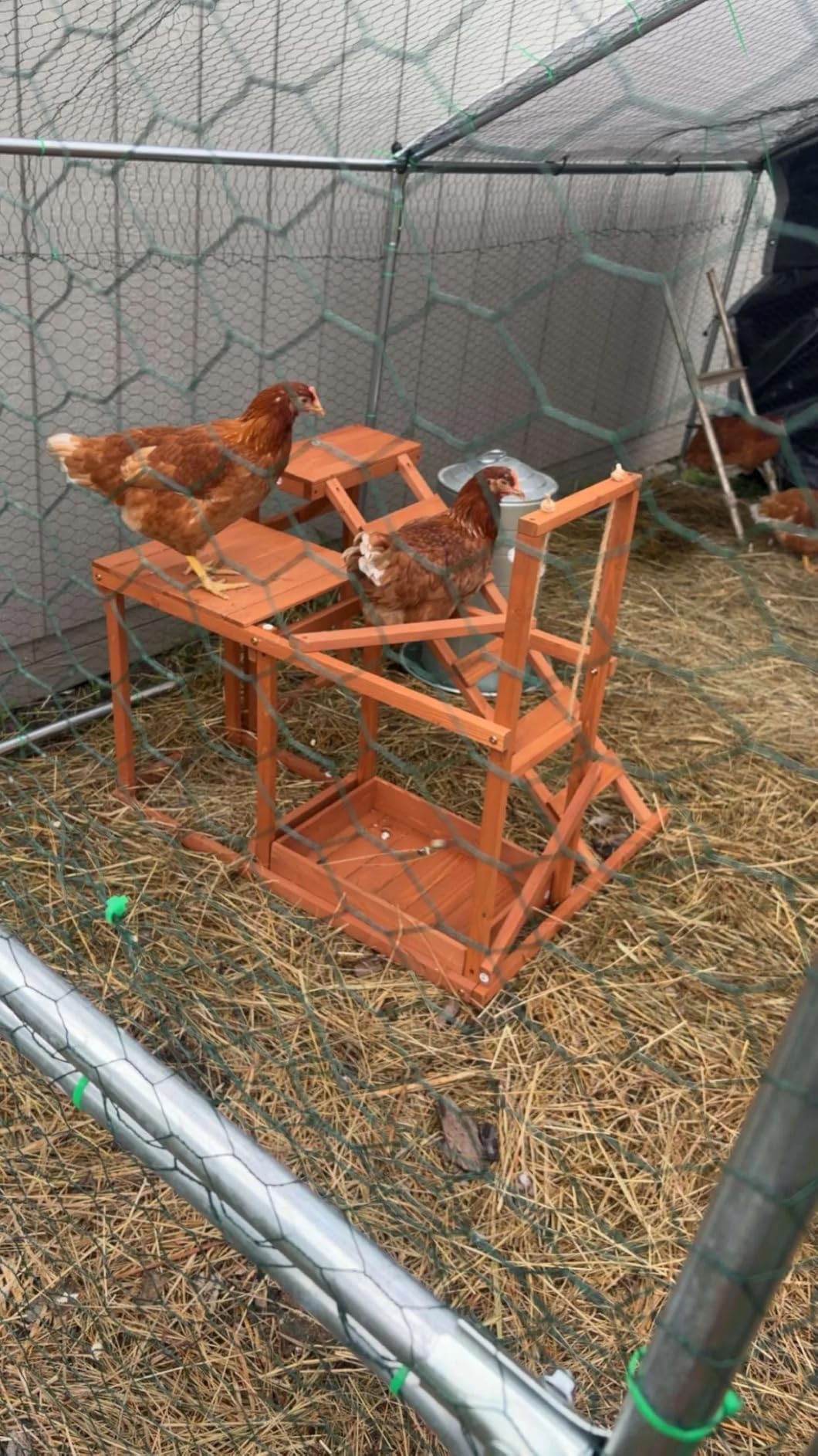 UDPATIO Large Metal Chicken Coop Walk in & Run – Heavy Duty Outdoor Poultry Run with Protective Cover for 10-15 Chickens, Ducks, or Rabbits | Predator-Proof & Weather-Resistant customer photo 1