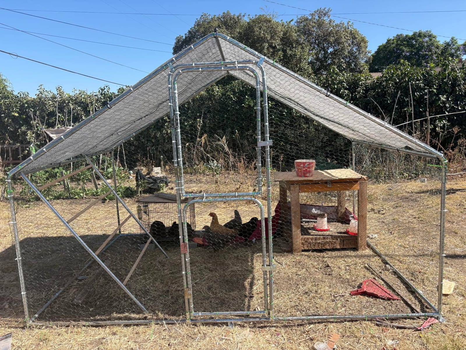 UDPATIO Large Metal Chicken Coop Walk in & Run – Heavy Duty Outdoor Poultry Run with Protective Cover for 10-15 Chickens, Ducks, or Rabbits | Predator-Proof & Weather-Resistant customer photo 2