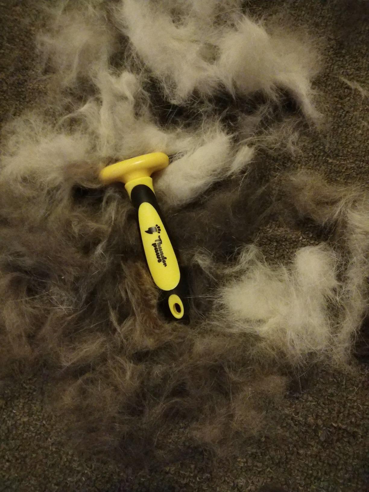 2-in-1 Deshedding Brush and Dematting Rake - Double Coat Undercoat Grooming Tool for Dogs and Cats, Reduces Shedding by Up to 95% (Electric Blue) customer photo 1