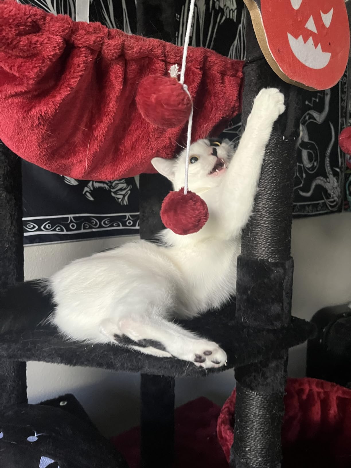 Heybly Floor to Ceiling Cat Tree, 104.7