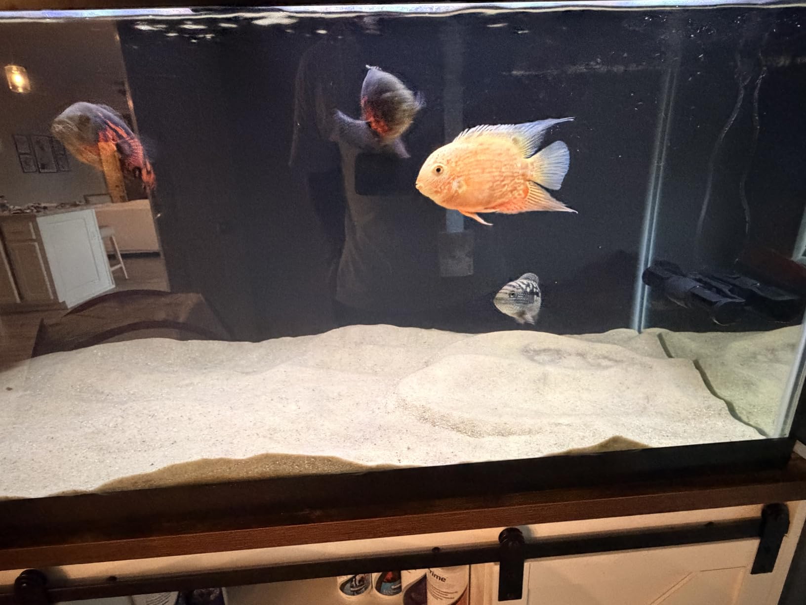 AQUASMITH Gyre Wave maker,Intelligent Tidal Control,8 models 20w 15000GPH customer photo 2