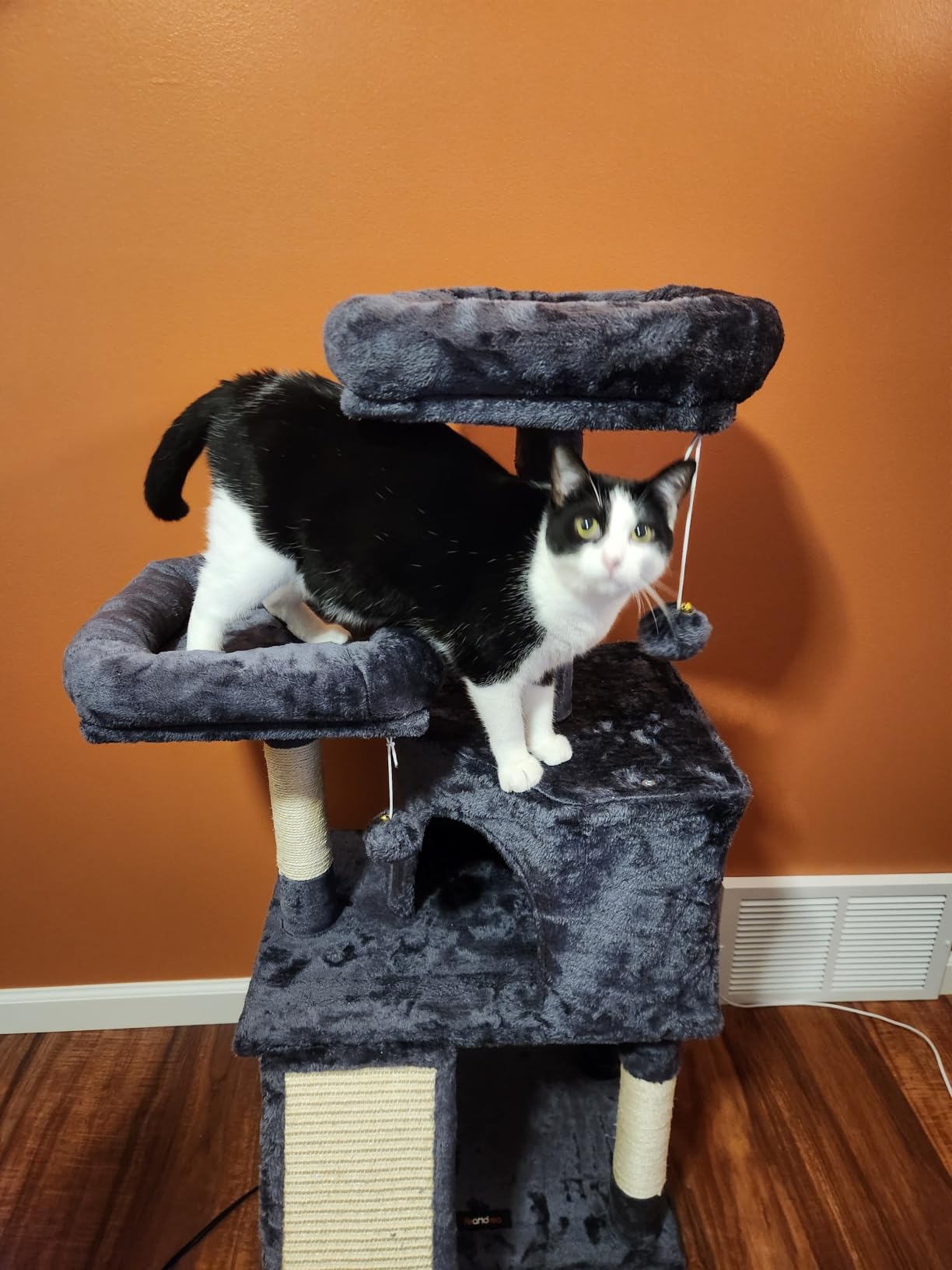 SONGMICS HOME Cat Tree, Scratching Ramp, Multi-Level Cat Condo customer photo 2