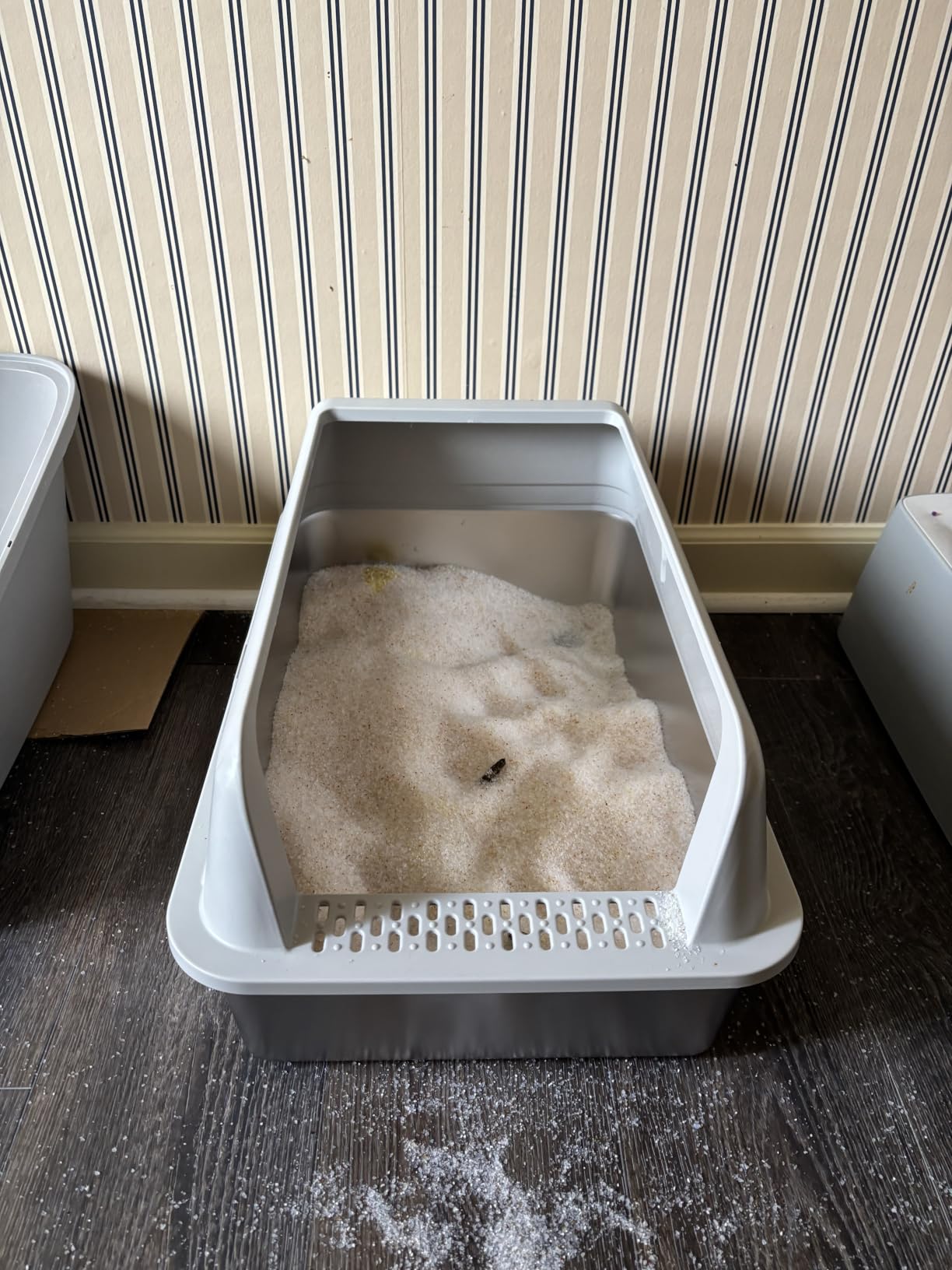 Self Cleaning Open Top Automatic Multiple Cat Litter Box, White customer photo 2