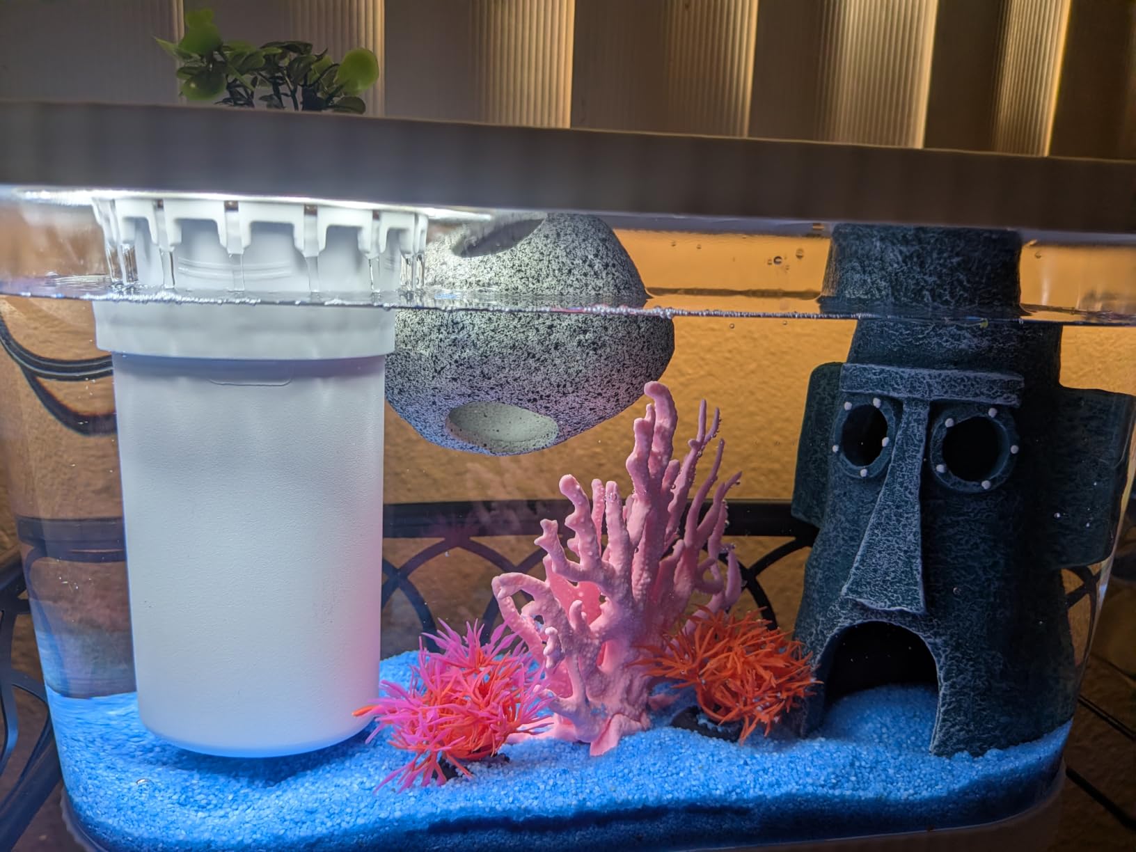 1.5 Gallon Betta Fish Tank Kit, Small Aquarium Starter Kit with Quiet Filter, LED Light & Decorations, Crystal Clear Acrylic Nano Desktop Aquarium for Shrimp, Guppy, Office Home Decor customer photo 2
