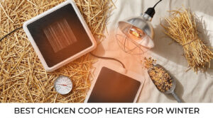 best chicken coop heaters for winter