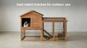 best rabbit hutches for outdoor use