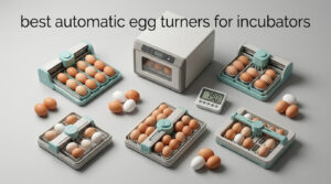 best automatic egg turners for incubators